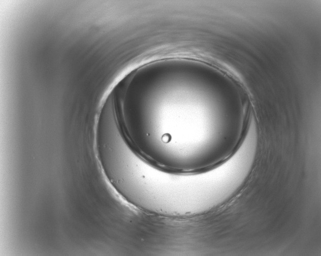 X0000066101528200603131216