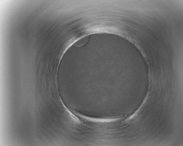 X0000066101529200603131216