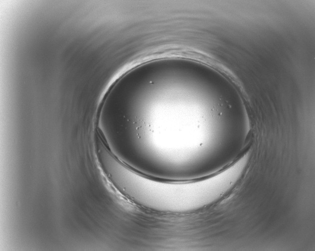 X0000066101530200603131217