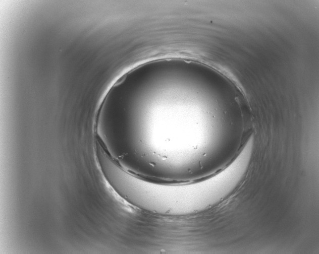 X0000066101532200603131217