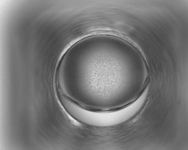 X0000066101533200603131217