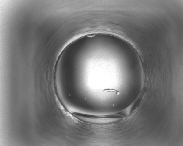 X0000066101534200603131217