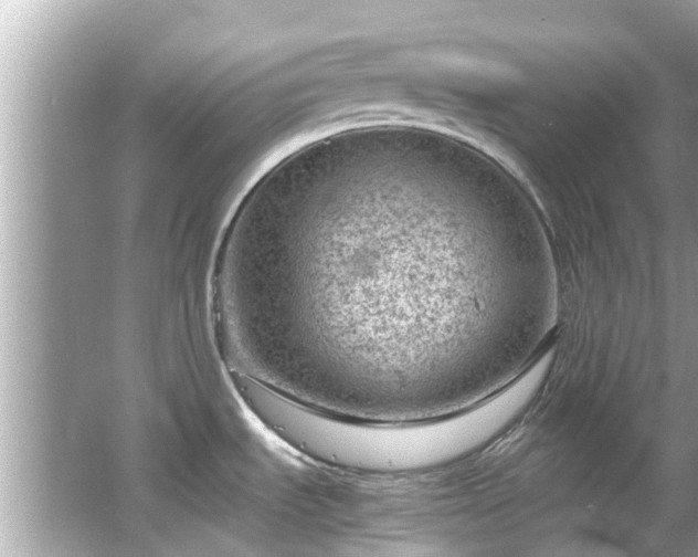 X0000066101535200603131217