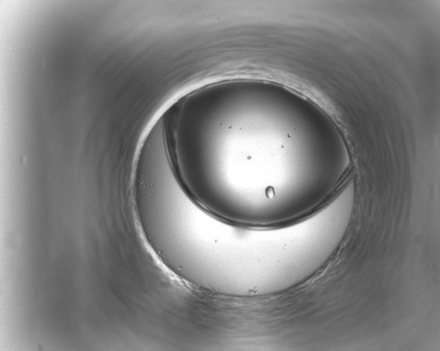 X0000066101536200603131217