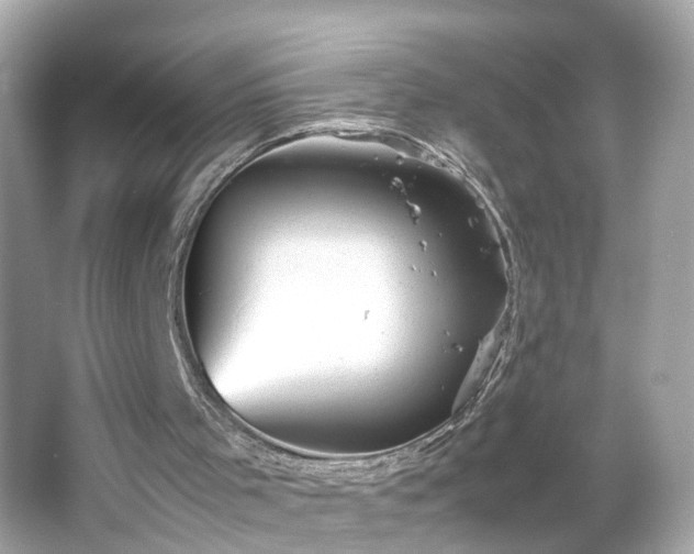 X0000066100001200603171409