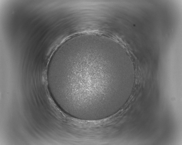 X0000066100002200603171409