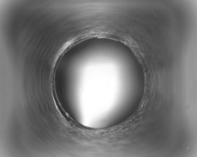 X0000066100003200603171409