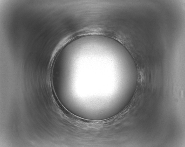 X0000066100004200603171409