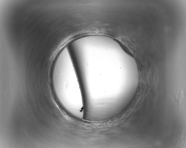 X0000066100005200603171409