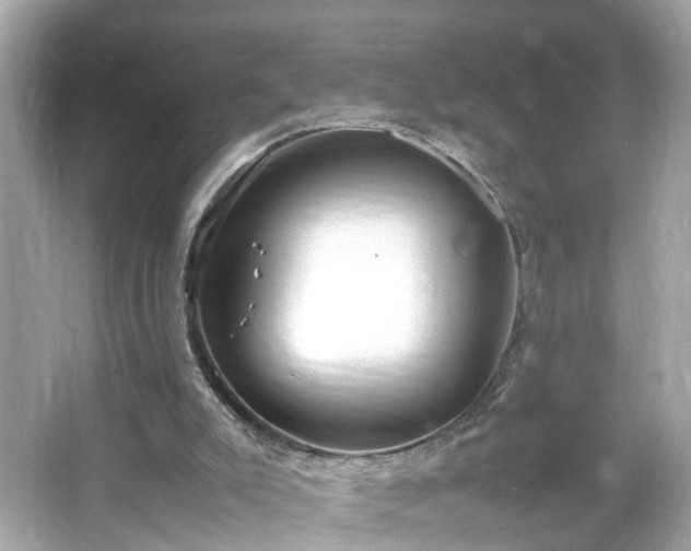 X0000066100007200603171409