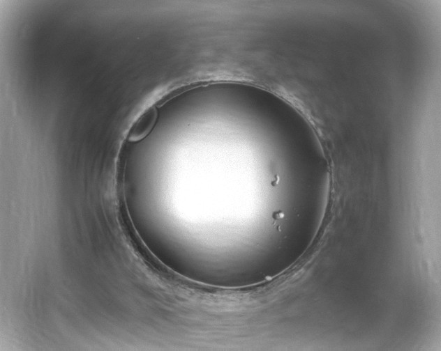 X0000066100008200603171409