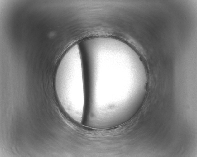 X0000066100009200603171409