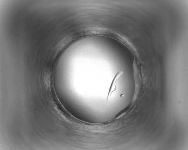 X0000066100010200603171409