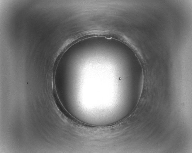 X0000066100011200603171409