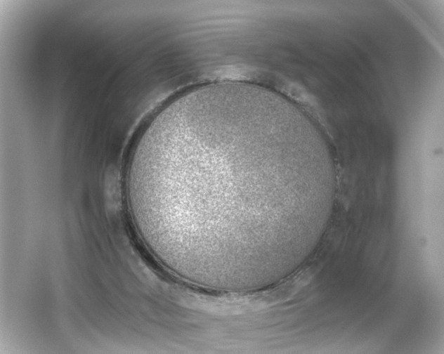 X0000066100012200603171408