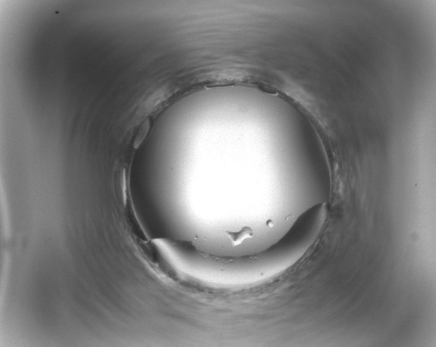 X0000066100013200603171408