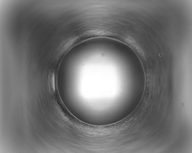 X0000066100014200603171408