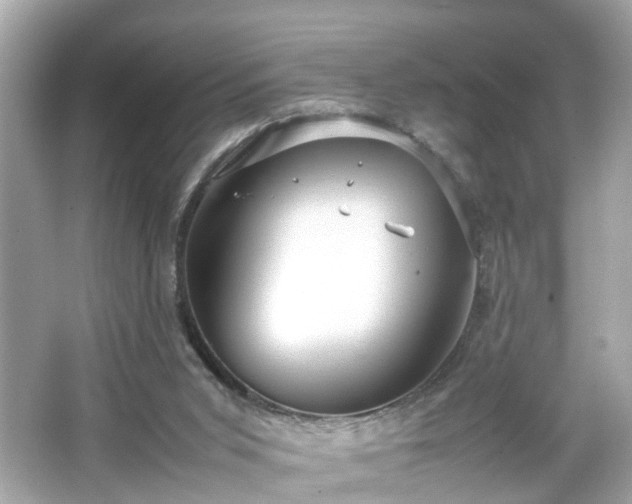 X0000066100015200603171408