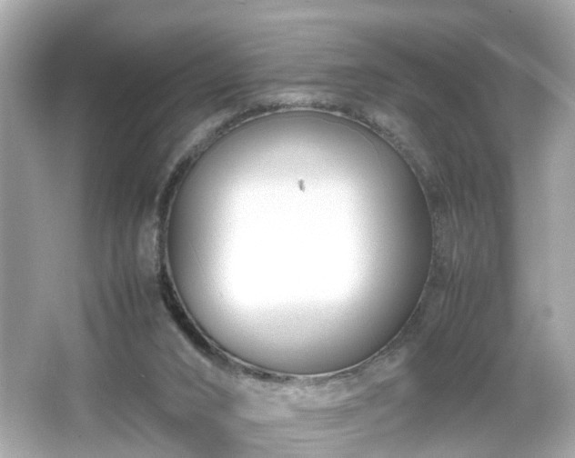 X0000066100016200603171408