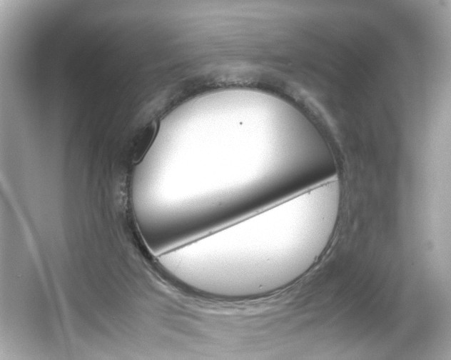 X0000066100017200603171408