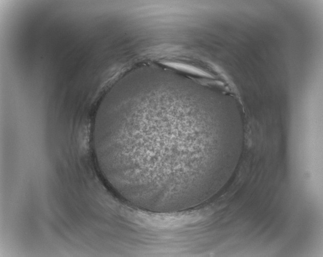 X0000066100018200603171408