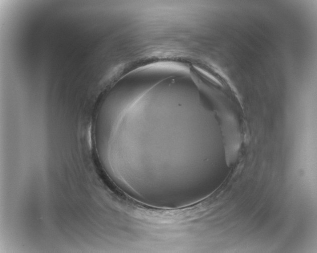 X0000066100019200603171408