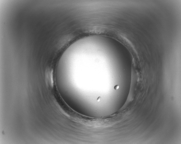 X0000066100020200603171408