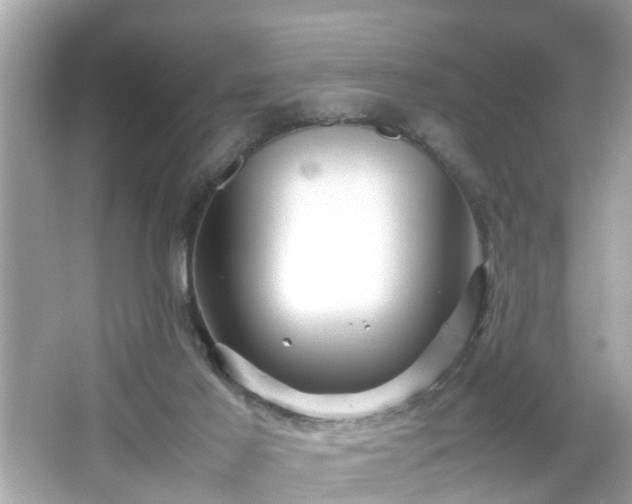 X0000066100021200603171408