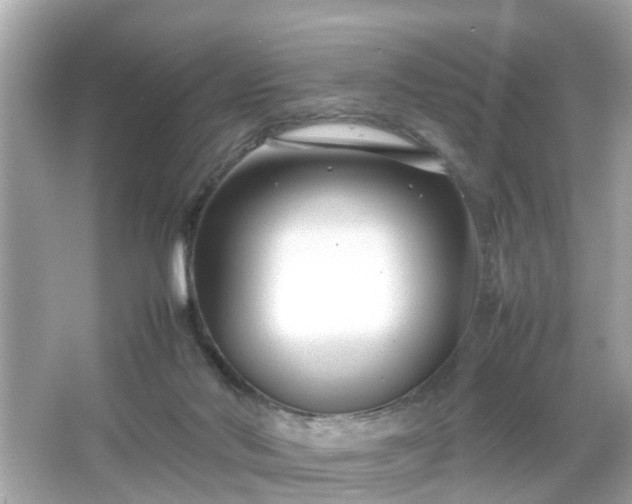 X0000066100022200603171408