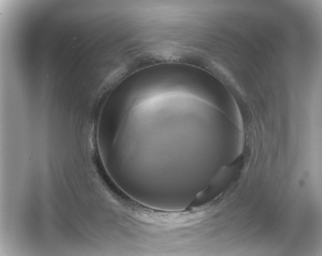 X0000066100023200603171408