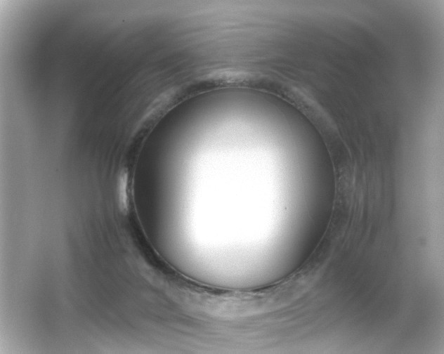 X0000066100024200603171408