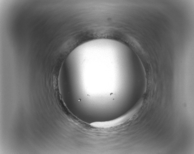 X0000066100025200603171408