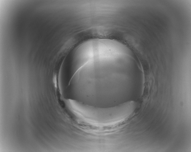 X0000066100027200603171408