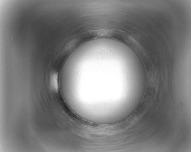 X0000066100028200603171408