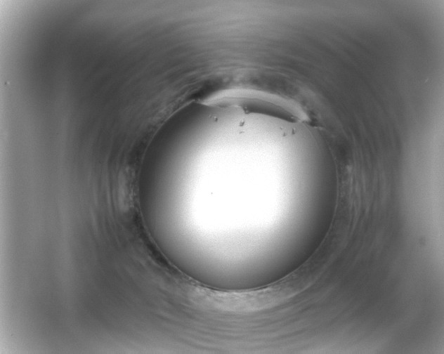 X0000066100030200603171408