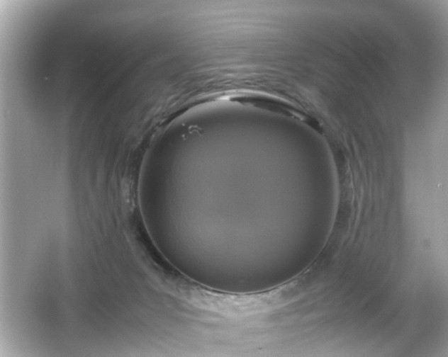 X0000066100031200603171408