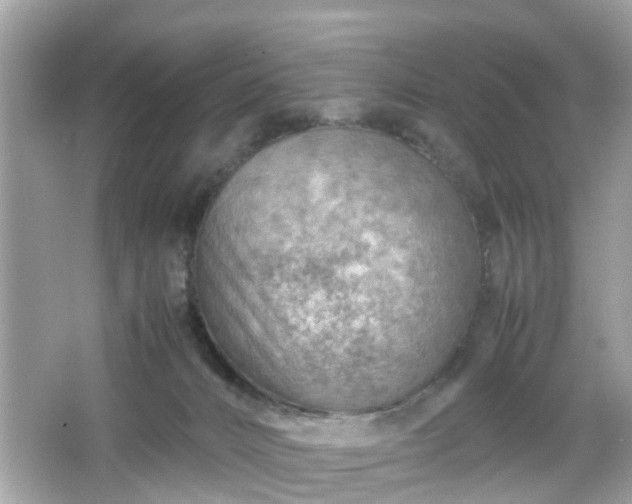 X0000066100032200603171408