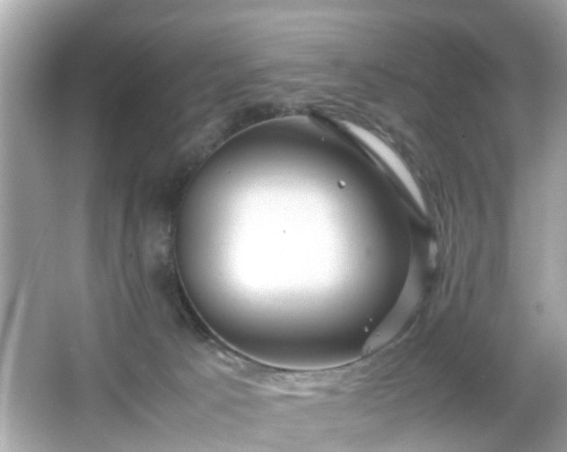 X0000066100033200603171408