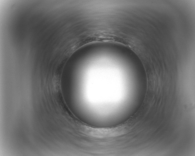 X0000066100034200603171408