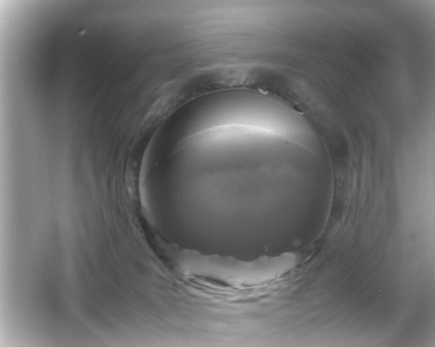 X0000066100035200603171408