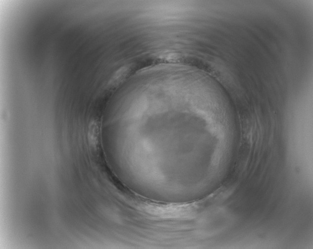 X0000066100036200603171408