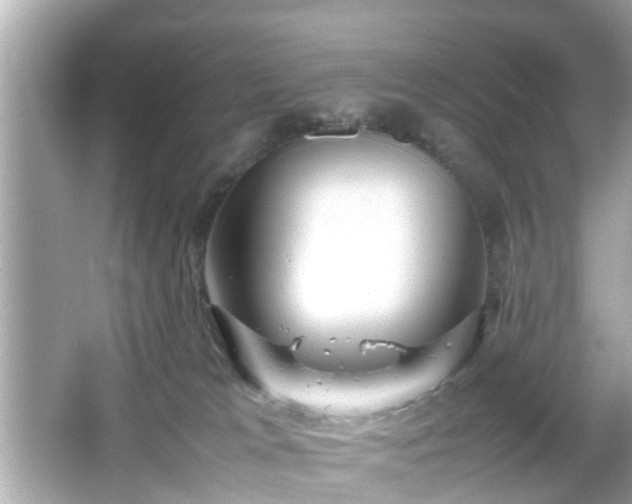 X0000066100037200603171408