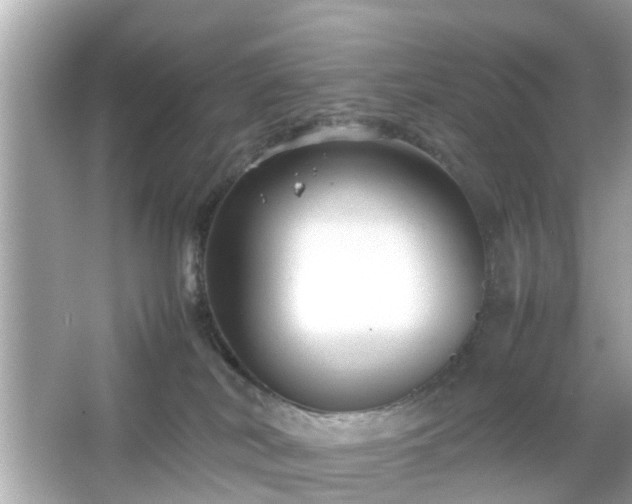 X0000066100038200603171408