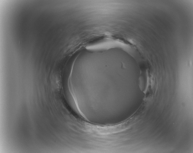 X0000066100039200603171408