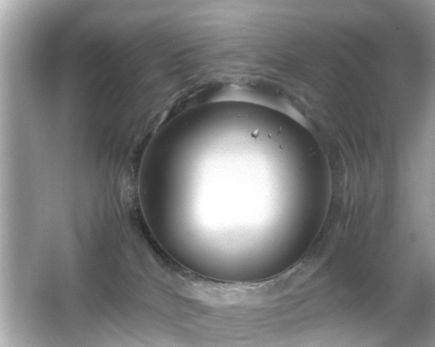 X0000066100040200603171408