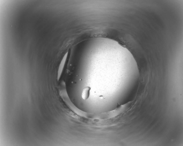 X0000066100041200603171408