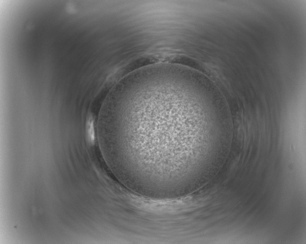 X0000066100042200603171408