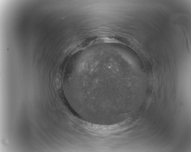 X0000066100043200603171408