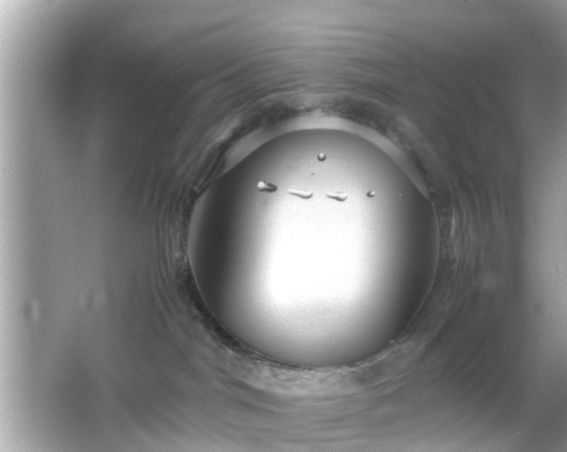 X0000066100044200603171408