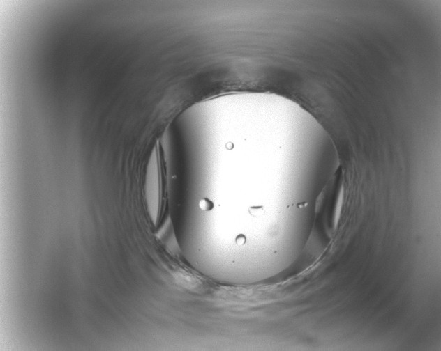 X0000066100045200603171408